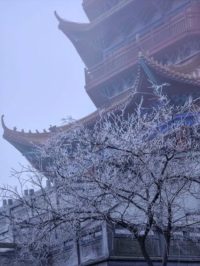 罕见一幕现身醴陵，即将消失！