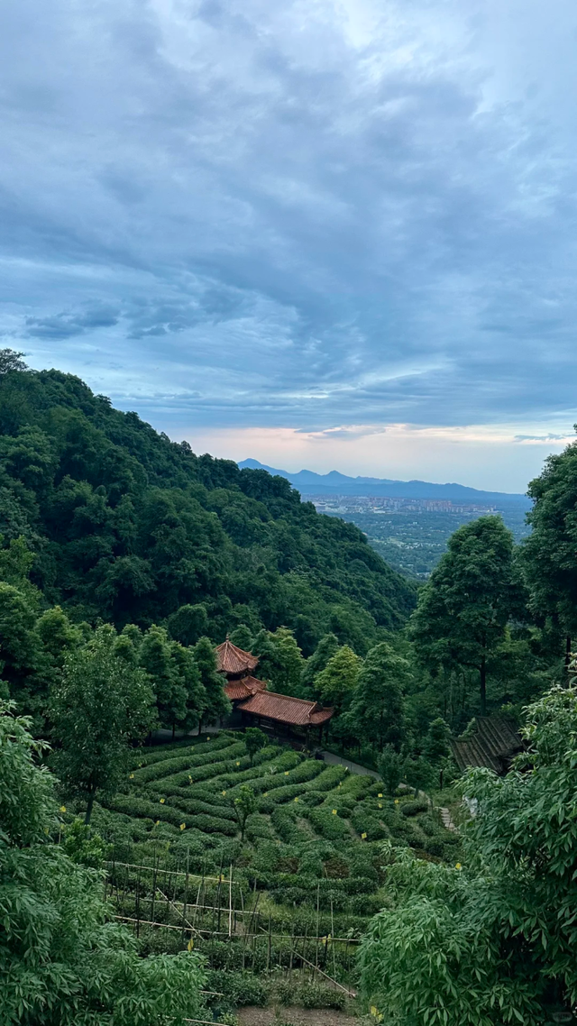 闯入青城山秘境！人少景美适合亲子徒步，还有成都最贵斋饭50元