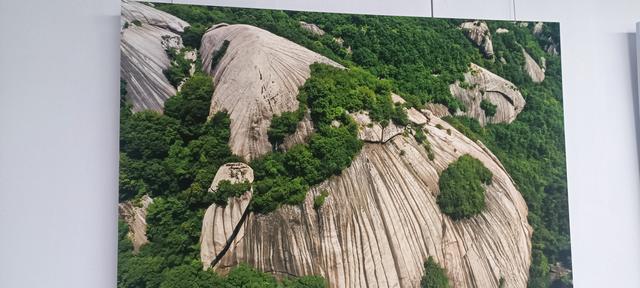 心心念念的大秦岭