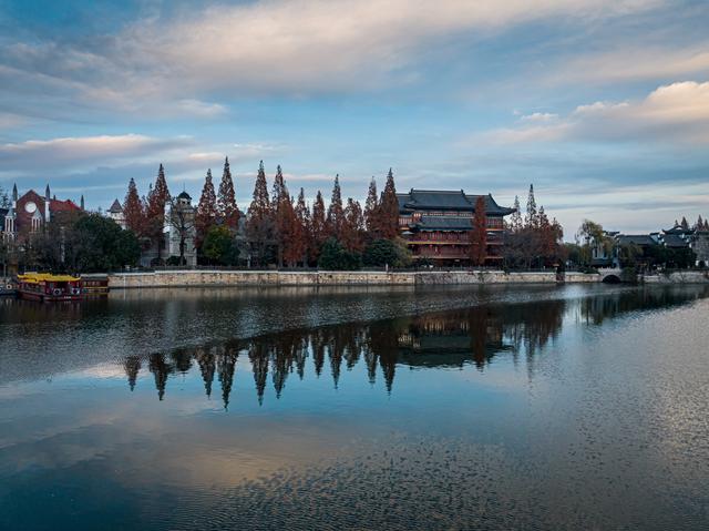 古城杉树运河魂