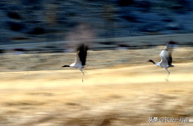 威宁草海：美就美在只能远观