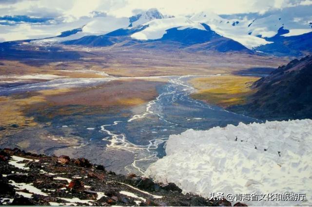 今日立冬丨倏忽秋已尽 今朝恰立冬