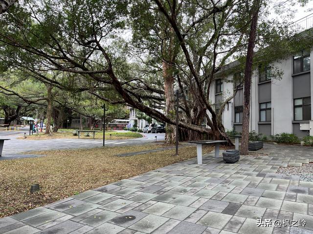 台湾游记：新竹「清华大学」印象