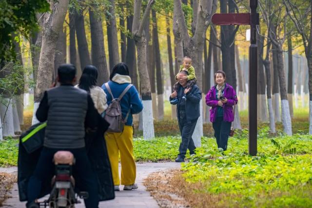 刷屏京津冀朋友圈!这个宝藏地超chill~