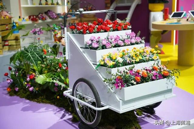 南京路“惊现”迷你上海乐高乐园！进博乐高“玩乐之城”亮相啦