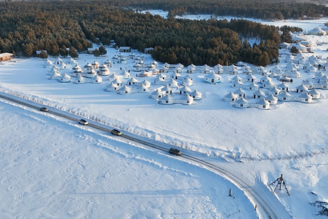 属马、姓马看过来！“马”住呼伦贝尔专属福利