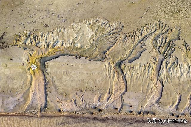 大黄河多姿多彩，带你看不一样的黄河