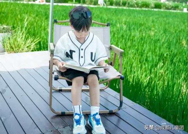 夏天一定要看一次稻田！这4处可看，还能喝下午茶逛博物馆