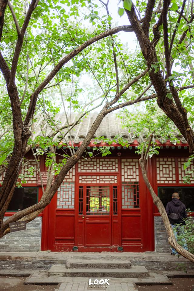 免费开放,北京冬天真的很适合来这里