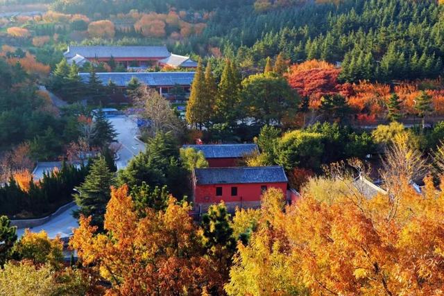 4000人沉浸式畅游，惊艳了荣成这里的啥？