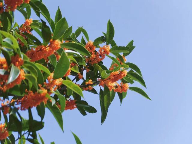 向全萧山人道歉！“上班”迟到了！