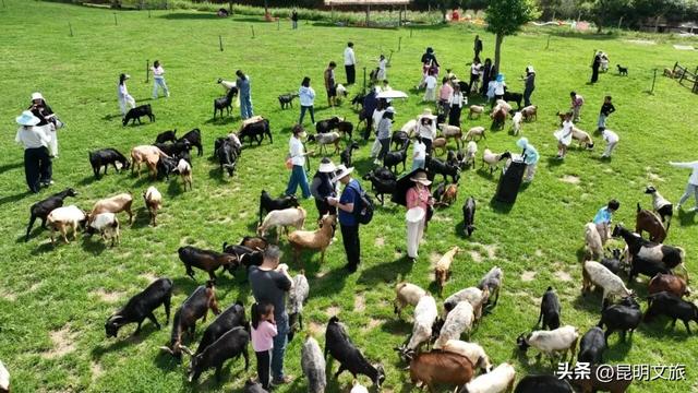 人头攒动、热闹非凡！玩转昆明不重样！国庆中秋假期，昆明各县区文旅成绩单来了~