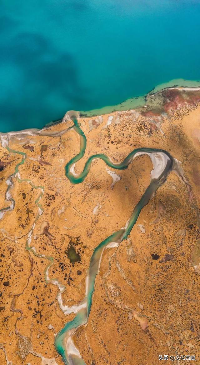 《西藏组画·牧羊人》卖出1.61亿！而你的西藏旅行是无价的！