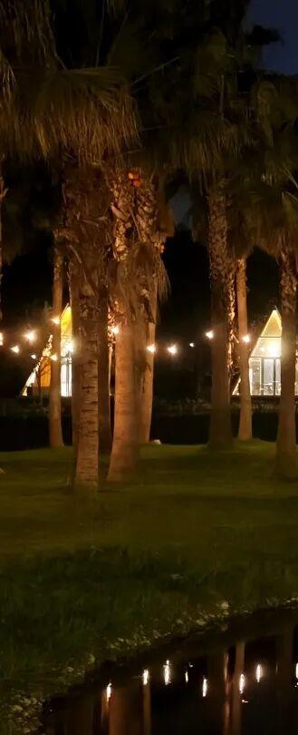 一键复制！高埂街道冬季遛娃宝藏路线！