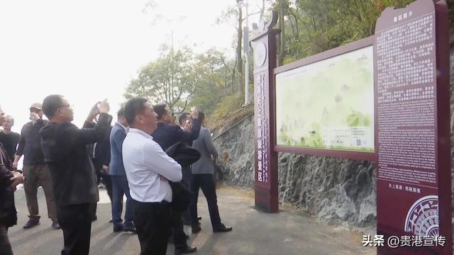 荷商代表考察了这些地方，处处是名片！