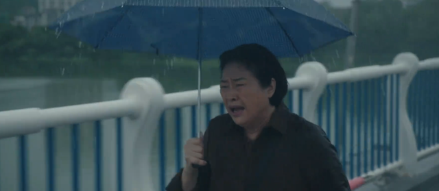 央视八套开播！36集家庭大剧来袭，全员实力派，观众：拉满期待值