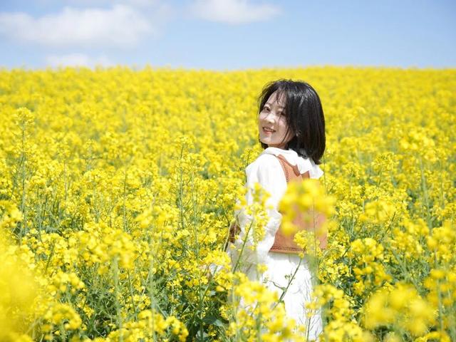 “五一”来礼县 | 礼县宽川镇：“花海经济”绘就乡村振兴新画卷