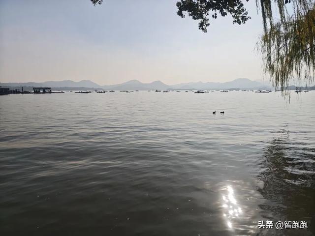 2025 杭州西湖 City Walk 留下足迹