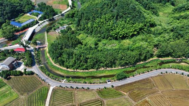 岳阳这条路美出了名！