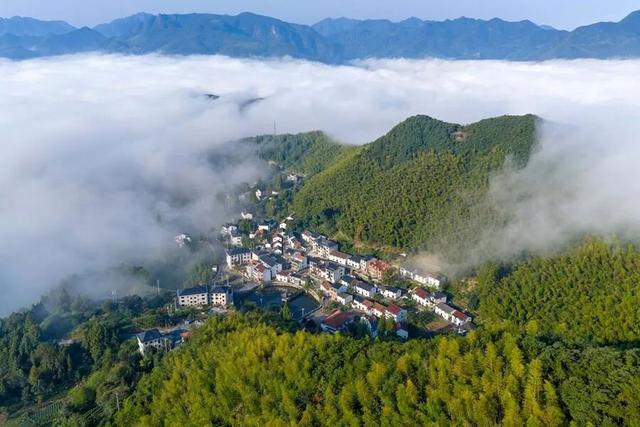 富阳这个网红村，游客车辆从山脚排到村里！