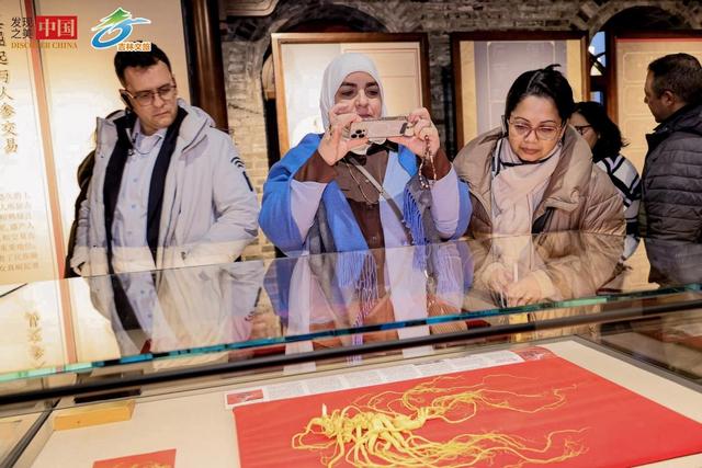 冰雪为媒 12国外交官走进吉林共赏中国之美