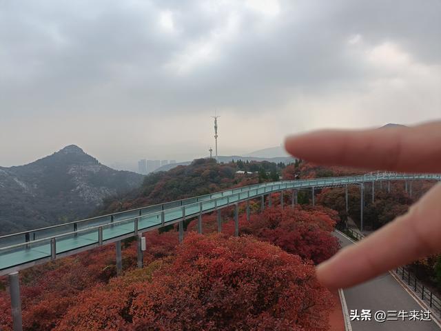 无为在歧路，柿岩之红叶