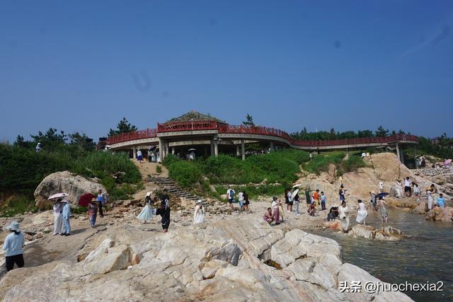 坐着高铁去看海（16）——烟台养马岛獐岛驿