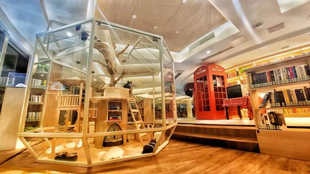 “最顶级”的天津有什么?