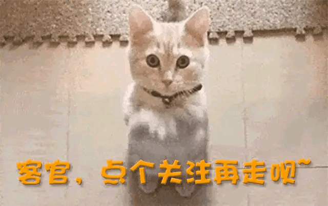 赖昌星前妻曾明娜现状：独居3000平老宅，种花做饭，活成人生赢家