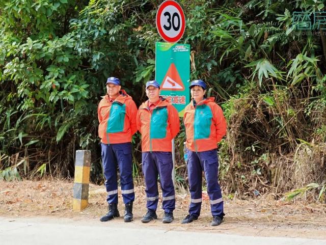 风驰竹海，骑友盛赞！在运动与美景的交融中收获双重满足