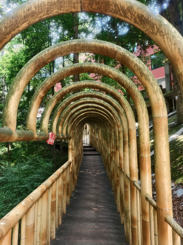邛崃白鹤山千年绿道，成都0.5h直达，玩转古寺禅意+森系秘境！