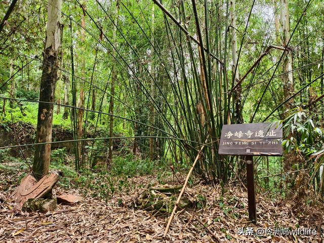 成都徒步（66）·邛崃篇⑥皮缝峡谷·皮缝古道