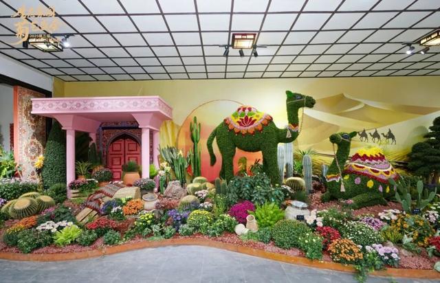 不愧是顶流！一大早就红了，人挤人持续好多天！萧山人家门口也有······