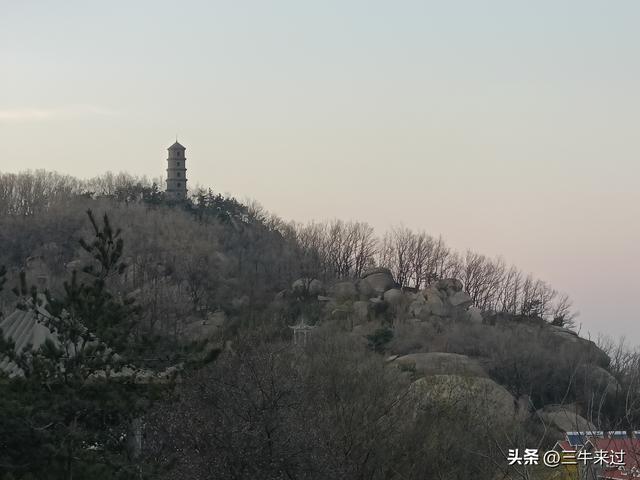 无为在歧路，2025之经行