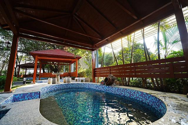 广州从化叹4星温泉度假，一岛独翠，泡温泉游泳叹美食，关键便宜