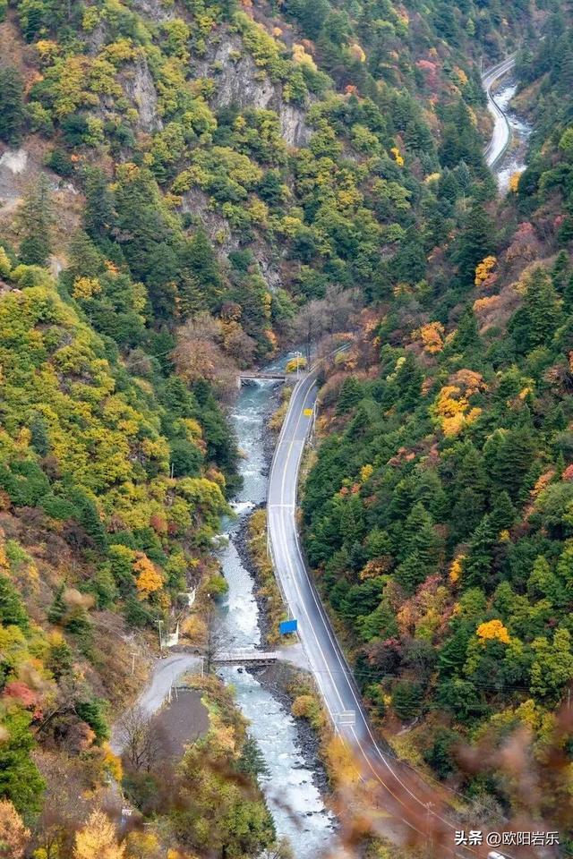 是什么让资深驴友每年秋天都偷偷跑去川西？？