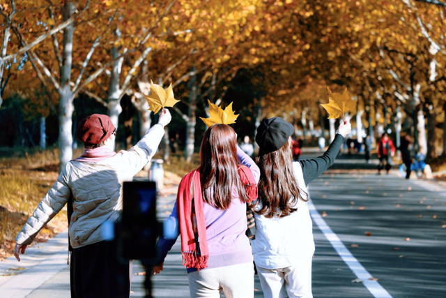 我拼了个“秋”！