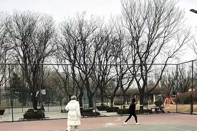 张兰带孙女滑冰，11岁玥儿全程牵奶奶！背影越来越像大S！