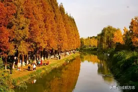 成都人天天挤的1号线，为啥要取这些站名？图片