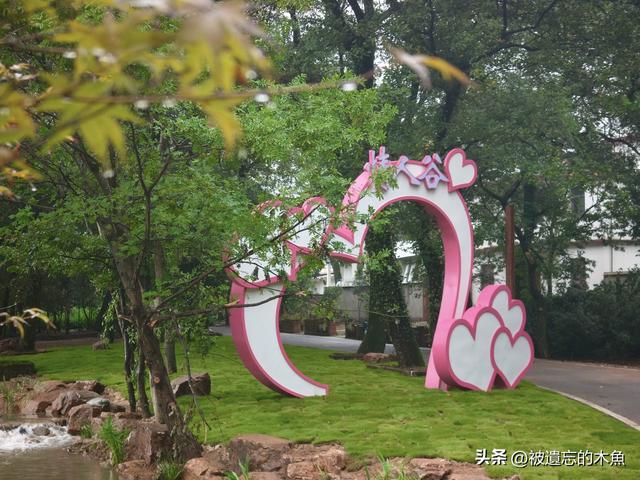 解锁秋日浪漫，庐江再添生态游玩新地标