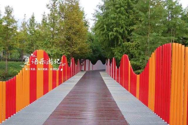 宁波镇海又发现一处粉黛园，临湖而居景色更秀丽，周边美景更多