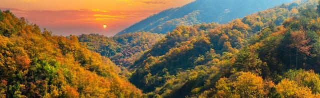 湖北小众秋色段位榜：这6条宝藏路线，让你独占整个秋天！