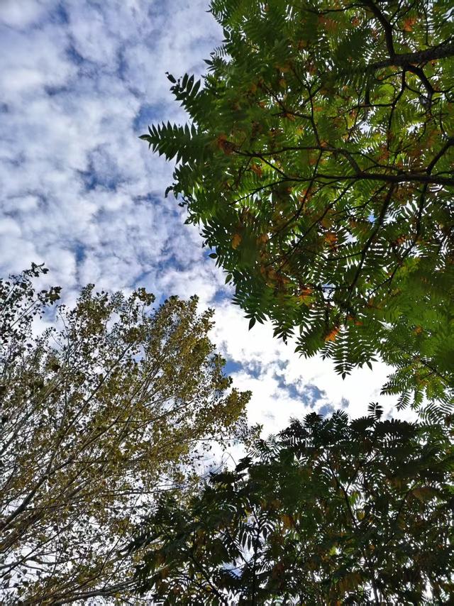 我总结了一下老年夫妻的现状，赶紧来对照一下，看看有你的影子吗