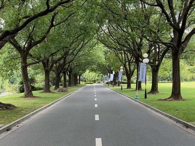 上海自带千亩园林的宾馆，风景绝美免费参观！