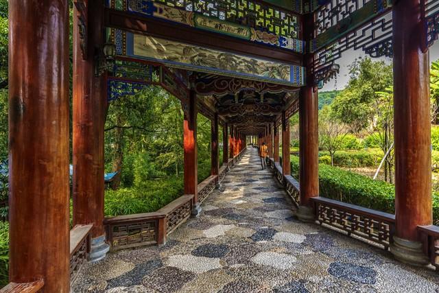 广东冬日封神路线！红叶燃秋、银杏铺金、禅钟洗心，12月出发正好