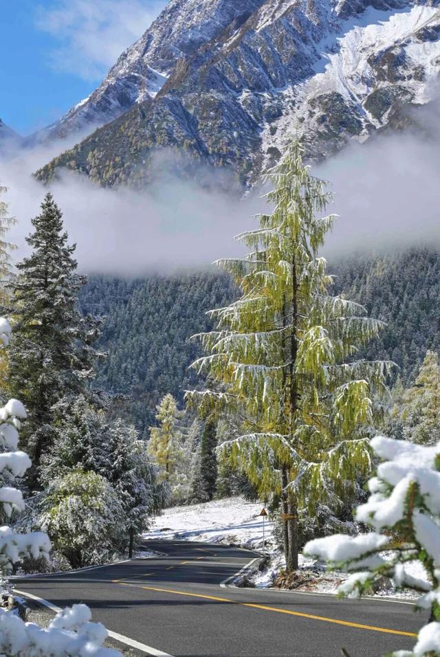 四川人盼初雪的心情谁懂！