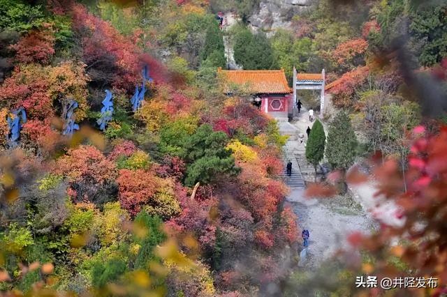 红叶专线开通！石家庄到井陉仙台山直达