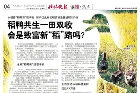 五倍价格！稻鸭共生一田双收会是致富新“稻”路吗？图片