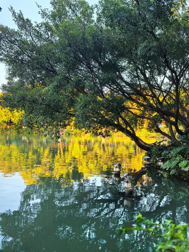 桂林:邂逅榕湖别样情!