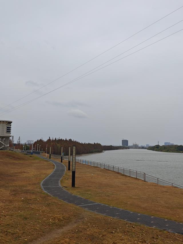 佛山真好逛——火红的小布村